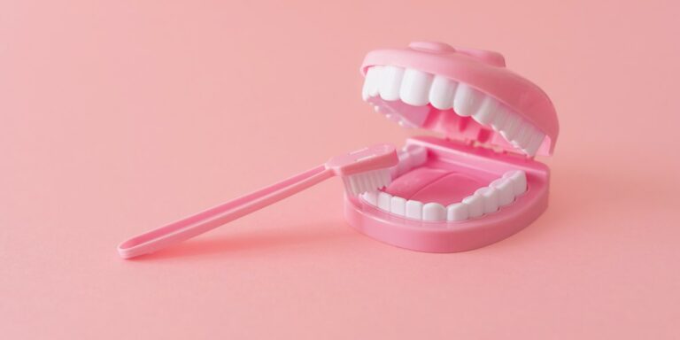 Dientes de leche: modelo dental de juguete con cepillo de dientes sobre fondo rosa