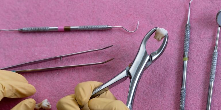 Extracción de muela: primer plano de un diente extraído con pinzas de extracción en el campo desechable rosa en el fondo